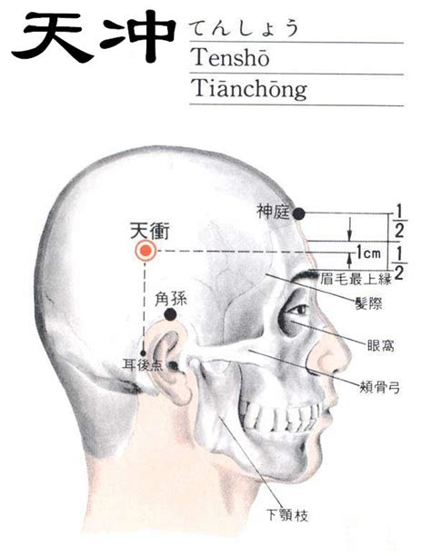 通天穴|通天穴:名稱釋義,別名,功能作用,治法,定位,解剖,主治,操作,臨床運。